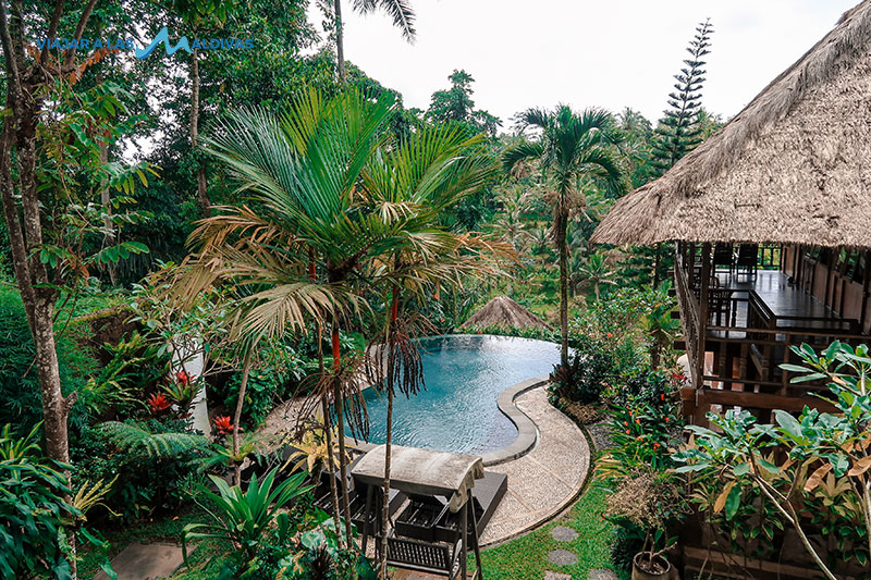 hoteles viajar a Bali