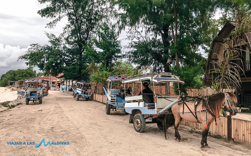 islas gili qué hacer