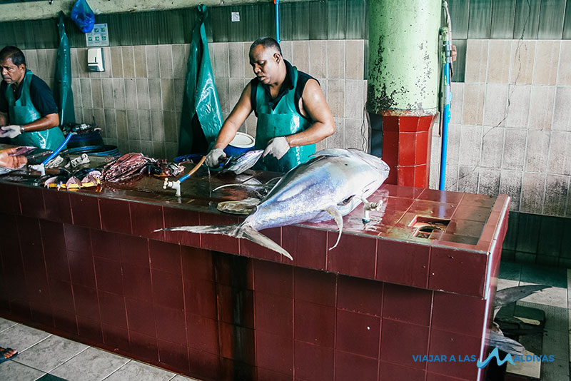 male maldivas mercado de pescado