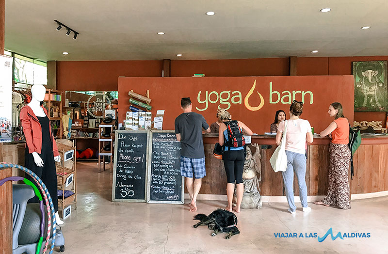 Qué ver en Bali yoga