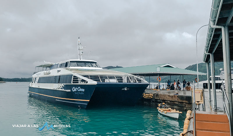 Viajar a las Seychelles ferri cat cocos