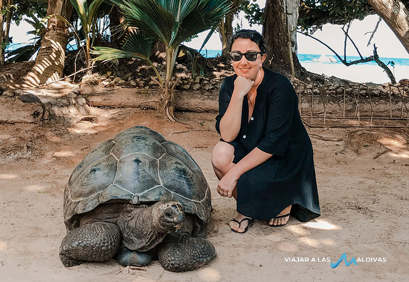 Viajar a las Seychelles tortugas gigantes